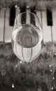 Reflection of piano keys i wine glass,