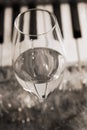 Reflection of piano keys in wine glass