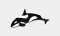 Whale Orca Black and White