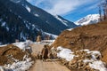 Shepherd carrying sheep to Aru Valley, Kashmir, India Royalty Free Stock Photo