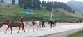 Ponies for ride in Aru Valley, Pahalgam, Kashmir, India Royalty Free Stock Photo