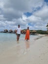 Aruba beach with pink flamingos at the beach, flamingo at the beach in Aruba Island Caribbean Royalty Free Stock Photo