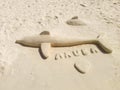 Aruba beach sand Royalty Free Stock Photo