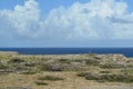 Aruba desert meets ocean with billowing clouds in blue sky