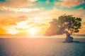 Aruba Divi Divi Tree Sunset Royalty Free Stock Photo