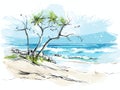 Aruba eagle beach caribbean tropical island in hand-drawn style