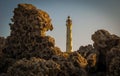 Aruba Image with California Lighthouse and Rocks in foreground