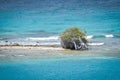 Aruba, Nederlands Crystal clear wate Royalty Free Stock Photo