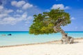 Aruba, Netherlands Antilles Royalty Free Stock Photo