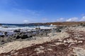 The Aruba coastline at the beach Royalty Free Stock Photo