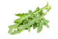 Arugula