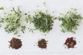 Arugula, basil, flax, watercress microgreen and seeds on white wood, top view. Growing microgreens