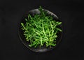 Arugula on Black Plate, Fresh Arugula, Ruccola Leaves, Rucola, Eruca or Garden Roquette Salad Royalty Free Stock Photo