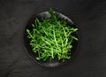 Arugula on Black Plate, Fresh Arugula, Ruccola Leaves, Rucola, Eruca or Garden Roquette Salad Royalty Free Stock Photo