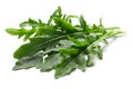 Arugula Eruca vesicaria, clipping paths Royalty Free Stock Photo