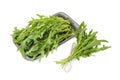 Arugula in foam food container and bundle tied with twine