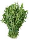 Arugula heap