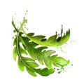 Arugula icon. Eruca sativa. Annual plant known as salad rocket, rucola rucoli rugula colewort roquette, and arugula