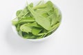 Arugula Leaves into a bowl Royalty Free Stock Photo
