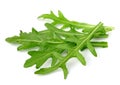 Arugula leaves Royalty Free Stock Photo