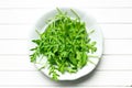 Arugula leaves in plate Royalty Free Stock Photo