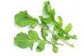 Arugula Leaves. Rucula Royalty Free Stock Photo
