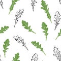 Arugula leaves seamless pattern on white background.