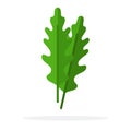 Arugula leaves vertically