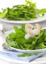 Arugula with prawn