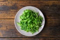 Arugula rocket salad on a plate against wooden background. Royalty Free Stock Photo