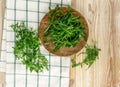 Arugula, Arugula, Ruccola Leaves, Rucola, Eruca or Roquette Salad Royalty Free Stock Photo