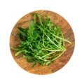 Arugula, Arugula, Ruccola Leaves, Rucola, Eruca or Roquette Salad Royalty Free Stock Photo