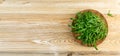 Arugula, Arugula, Ruccola Leaves, Rucola, Eruca or Roquette Salad Royalty Free Stock Photo