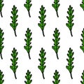 Arugula rucola seamless doodle pattern, vector illustration