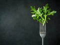 Arugula Salad on a Fork Against a Dark Background Royalty Free Stock Photo