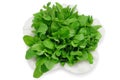 Arugula salad Royalty Free Stock Photo