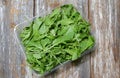 Arugula salad in the plastic box on wooden background. Rucola lettuce healthy food. Vegetarian lifestyle concept. Green fresh