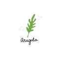 Arugula salad or rucola leaves hand drawn cartoon doodle vector illustration