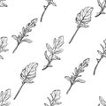 Arugula seamless pattern. Arugula leaves.