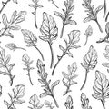 Arugula seamless pattern. Arugula leaves.