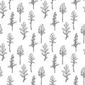 Arugula seamless pattern. Arugula leaves.