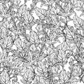 Arugula seamless pattern. Arugula leaves.