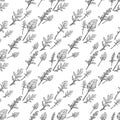 Arugula seamless pattern. Arugula leaves.