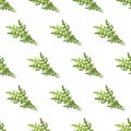 Arugula seamless pattern