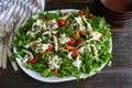 Arugula with Slow-Roasted Tomatoes and Burrata Royalty Free Stock Photo