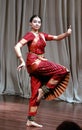 Aruna Kharod performing bharatanatyam classical dance in Blanton Museum of Art. Royalty Free Stock Photo