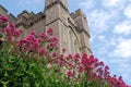 Arundel Castle Royalty Free Stock Photo