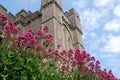 Arundel Castle