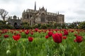 Arundel Castle tulip festival