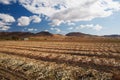 Arxan field of corn Royalty Free Stock Photo